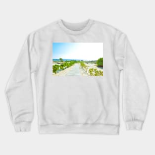 Pathway to the beach in Oman Crewneck Sweatshirt